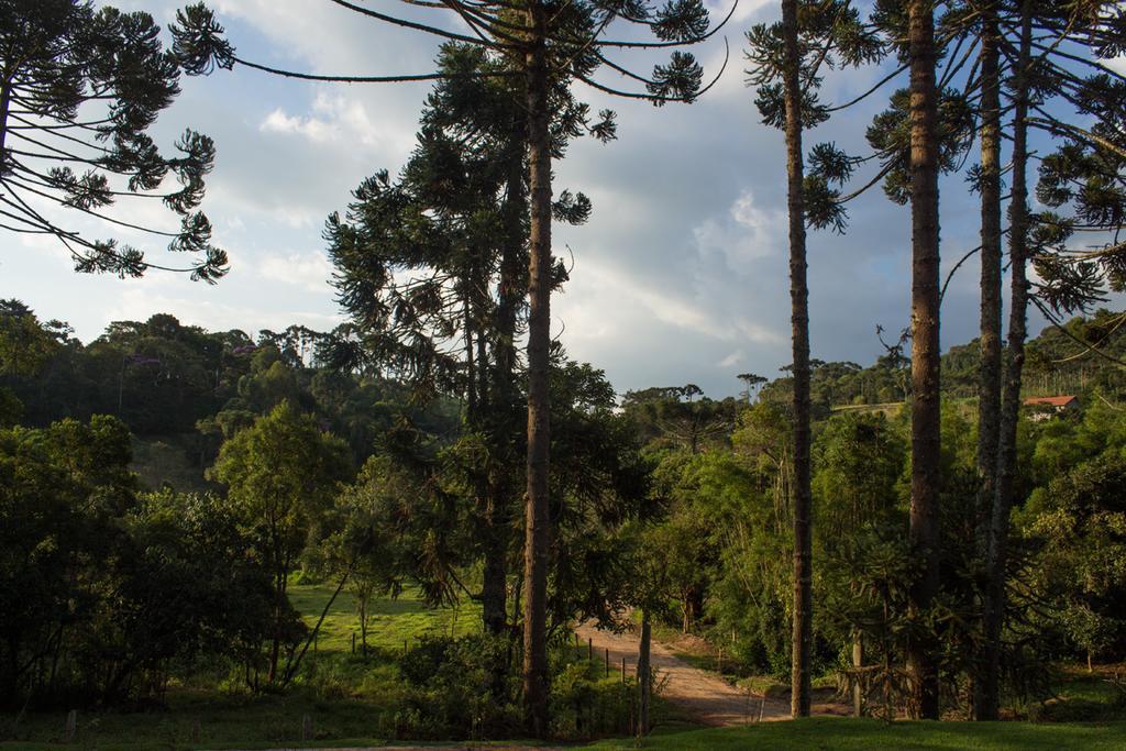 Espaco Recanto Do Pico Hotel Santo Antonio do Pinhal Luaran gambar